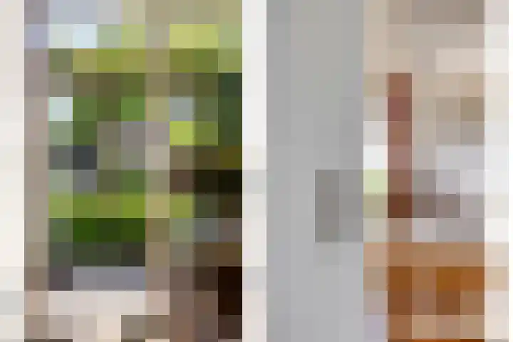 Zuiderweme 3 Ruurlo thumbnail 11
