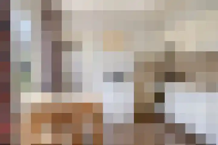Zuiderweme 3 Ruurlo thumbnail 12
