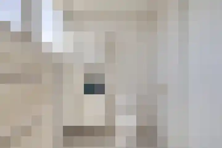 Zuiderweme 3 Ruurlo thumbnail 22