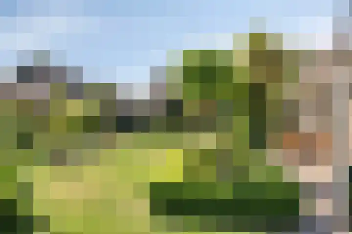 Zuiderweme 3 Ruurlo thumbnail 26