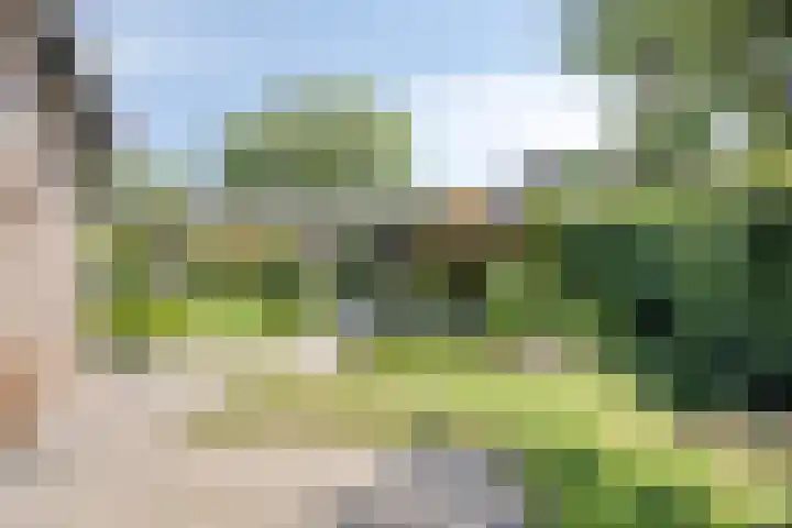Zuiderweme 3 Ruurlo thumbnail 28