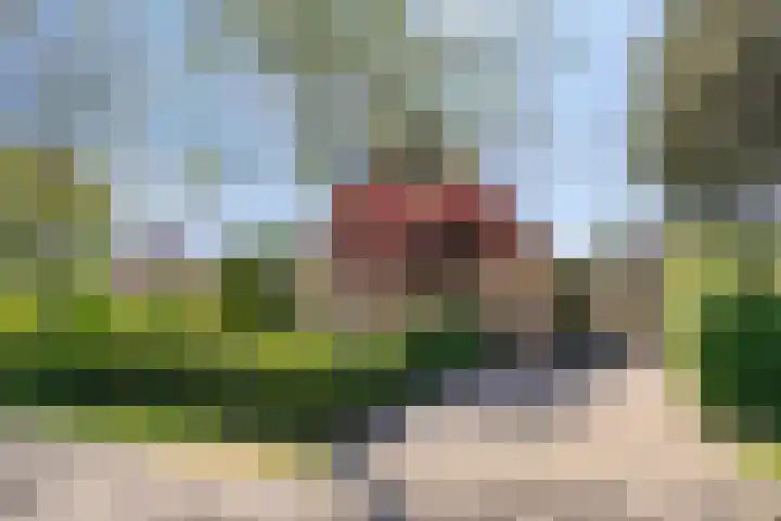 Zuiderweme 3 Ruurlo thumbnail 4
