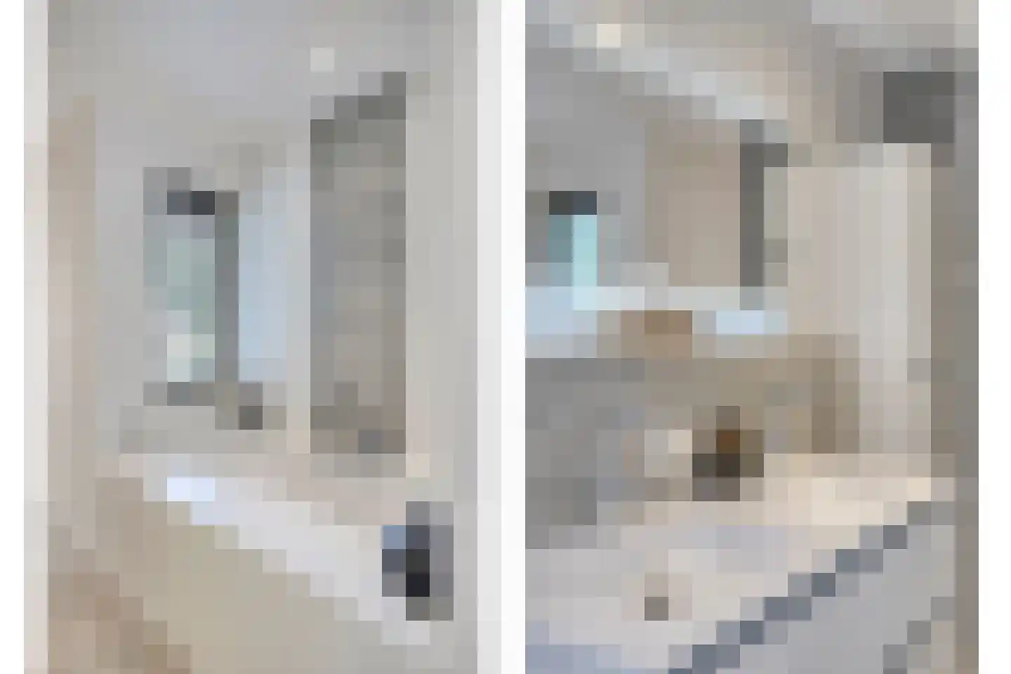 Zuiderweme 4 Ruurlo thumbnail 27