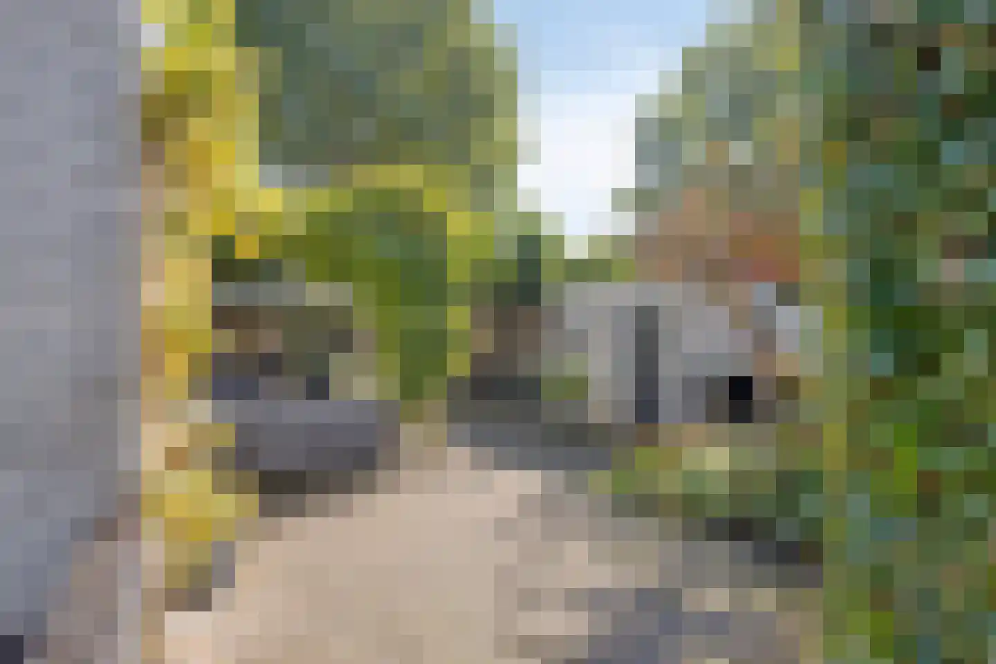 Zuiderweme 4 Ruurlo thumbnail 38