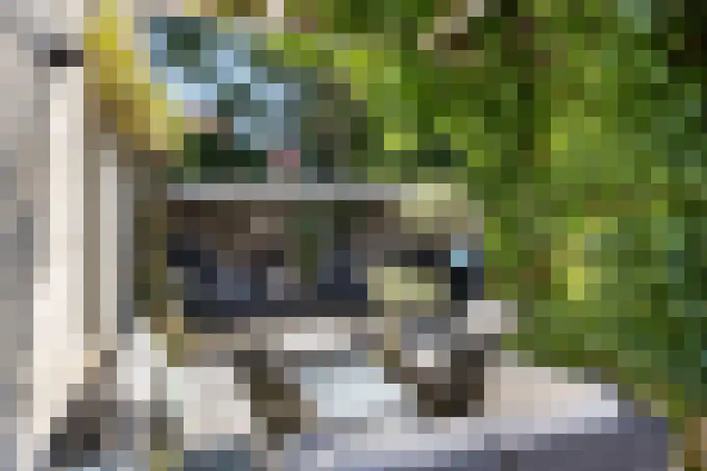 Zuiderweme 4 Ruurlo thumbnail 39