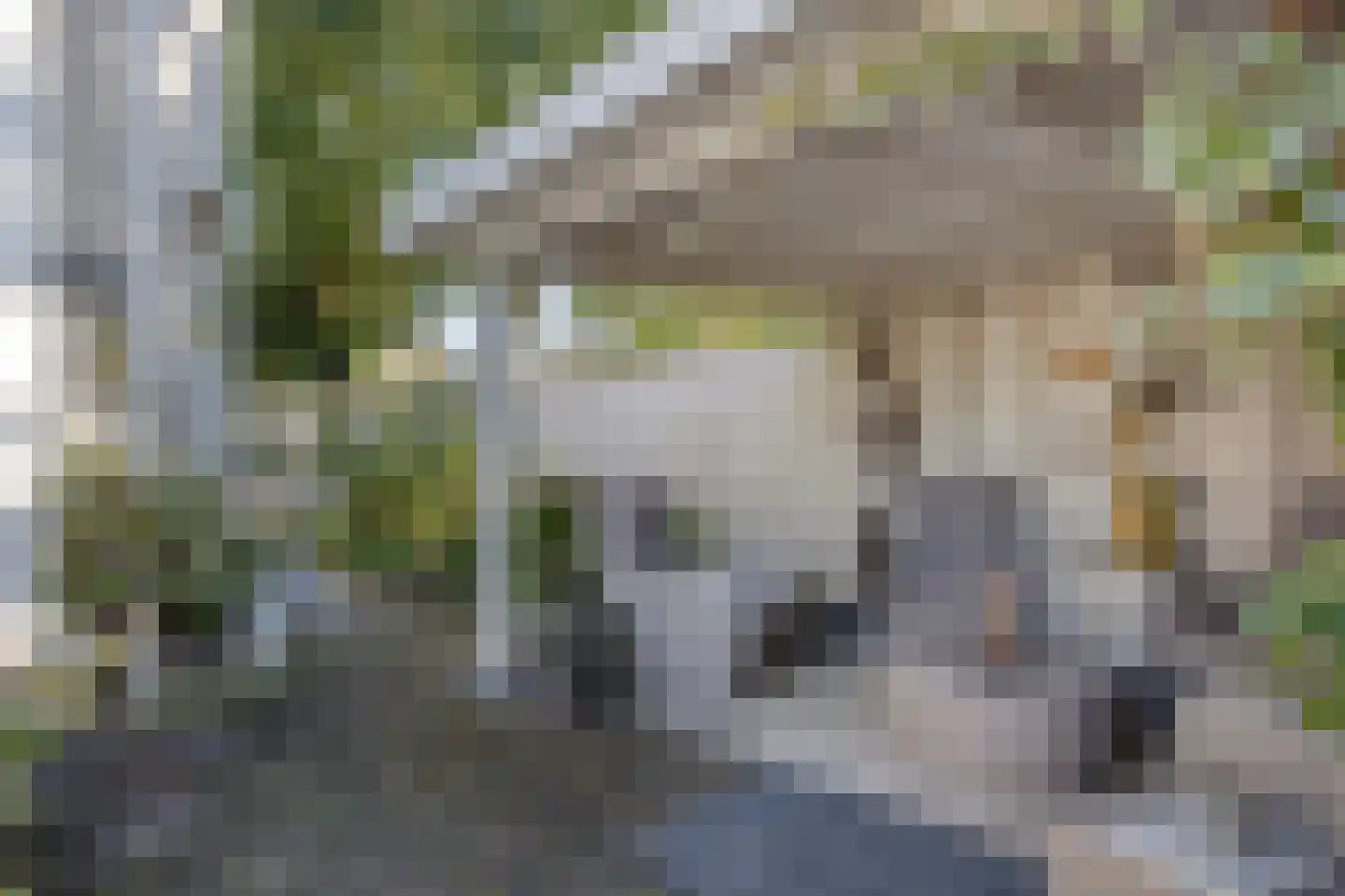 Zuiderweme 4 Ruurlo thumbnail 40