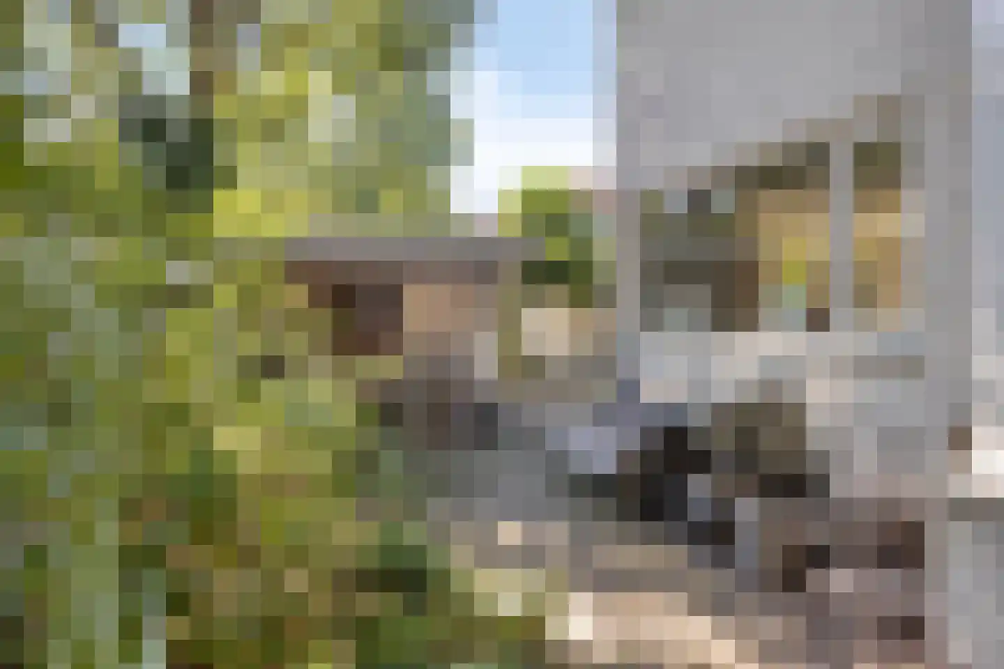 Zuiderweme 4 Ruurlo thumbnail 41