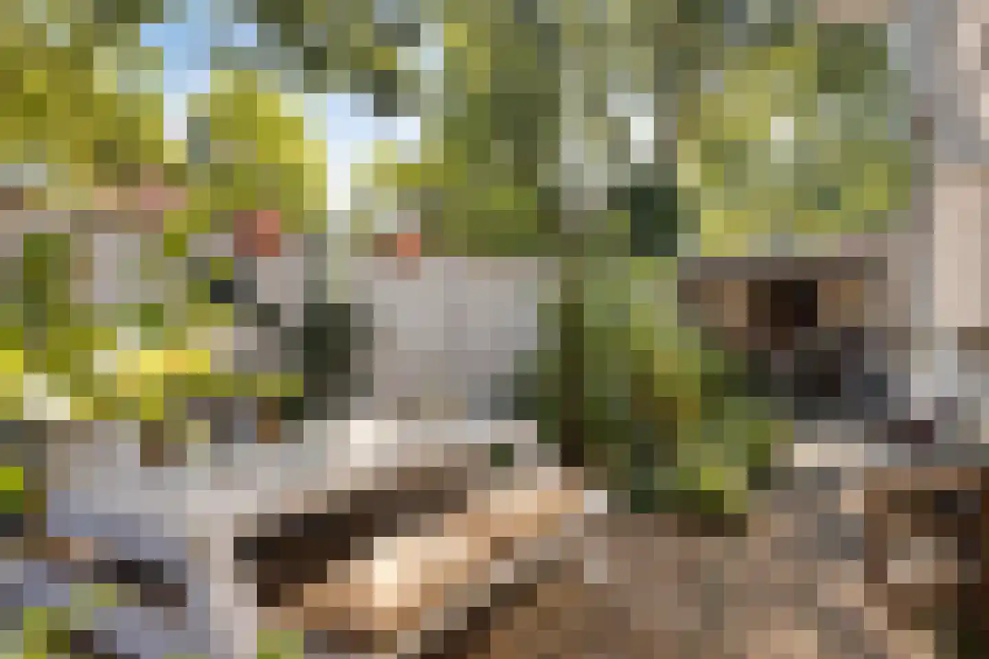 Zuiderweme 4 Ruurlo thumbnail 42