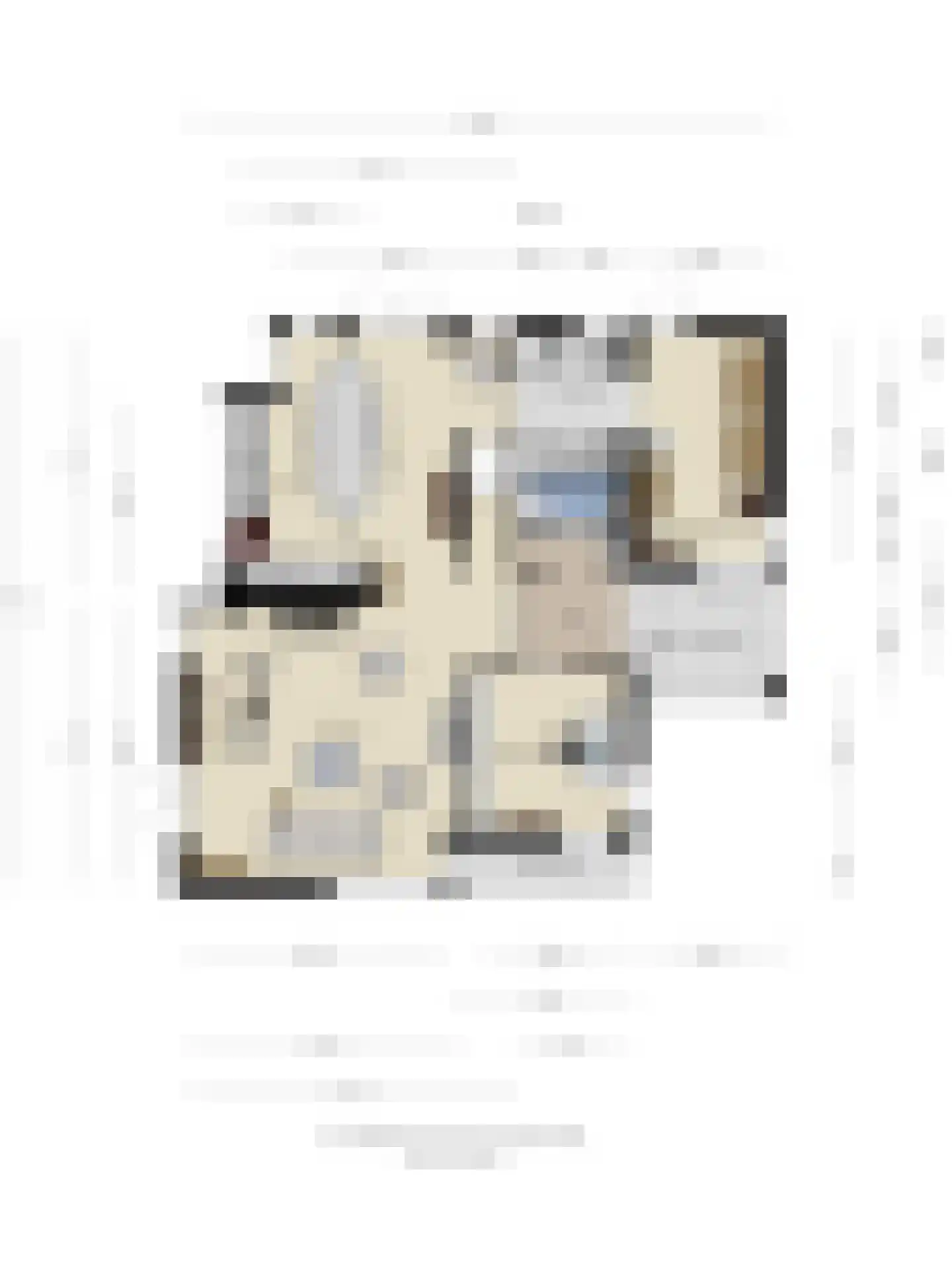 Zuiderweme 4 Ruurlo thumbnail 47