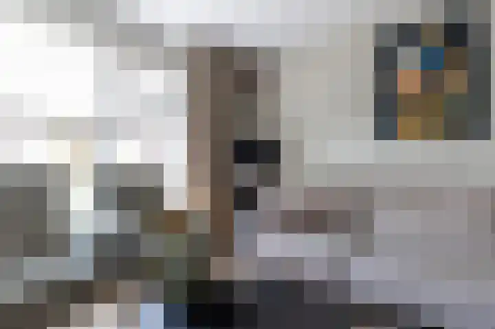Zuiderwoid 12 Lutjebroek thumbnail 12