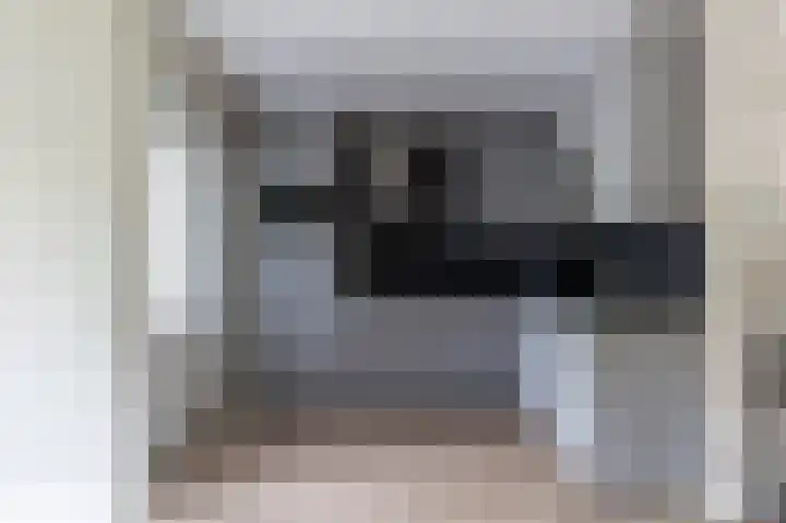 Zuiderwoid 12 Lutjebroek thumbnail 17