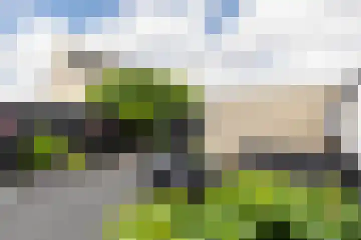 Zuiderwoid 12 Lutjebroek thumbnail 23
