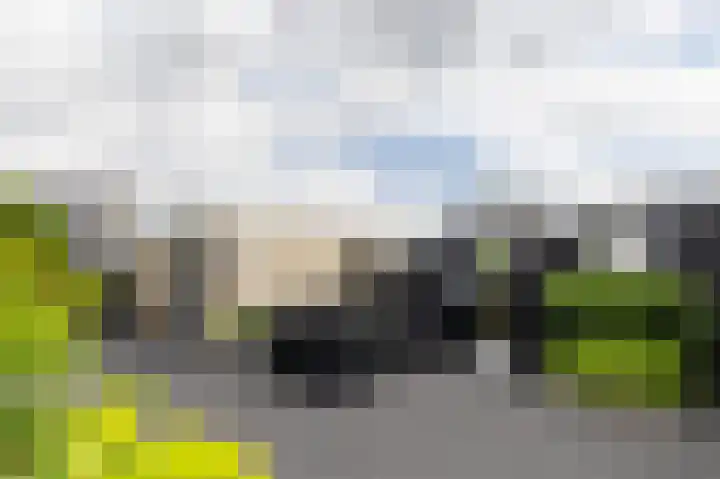 Zuiderwoid 12 Lutjebroek thumbnail 25