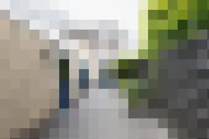 Zuiderwoid 12 Lutjebroek thumbnail 27