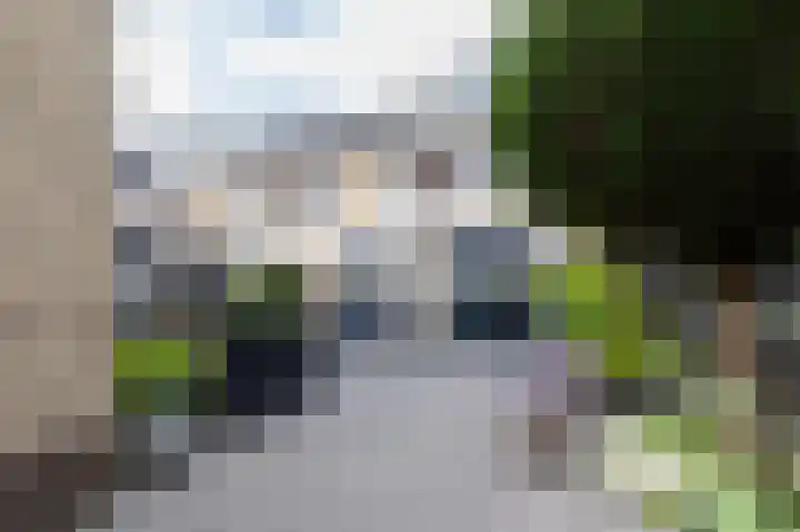 Zuiderwoid 12 Lutjebroek thumbnail 28