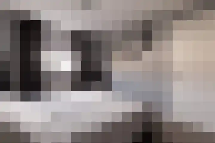 Zuiderwoid 12 Lutjebroek thumbnail 32
