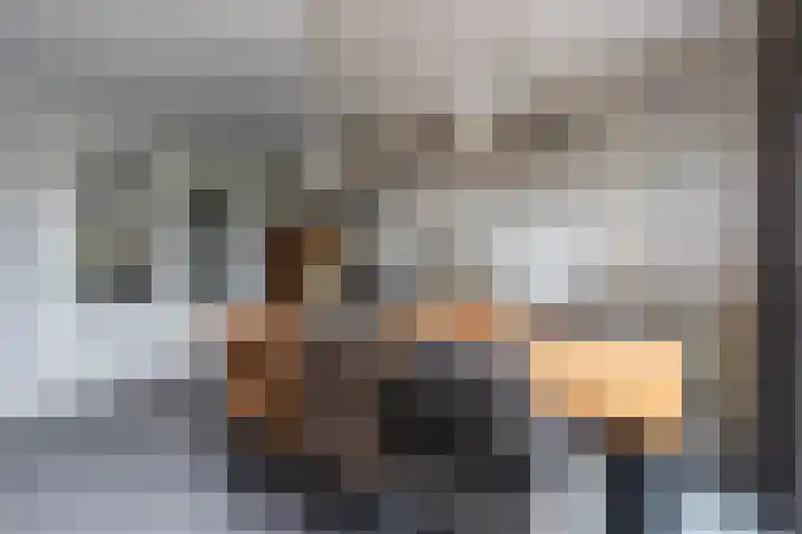 Zuiderwoid 19 Lutjebroek thumbnail 14