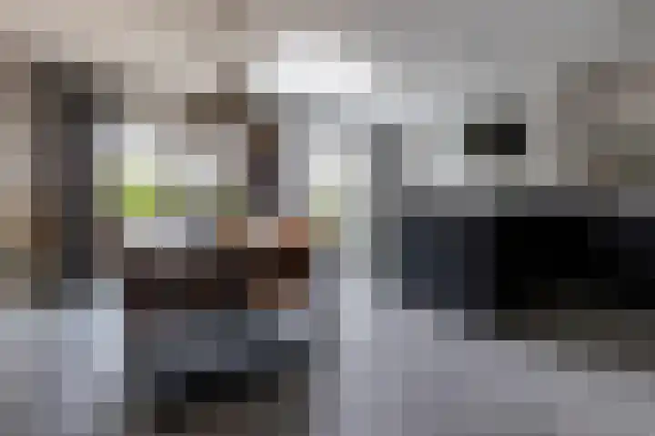 Zuiderwoid 19 Lutjebroek thumbnail 17