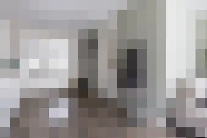 Zuiderwoid 19 Lutjebroek thumbnail 4