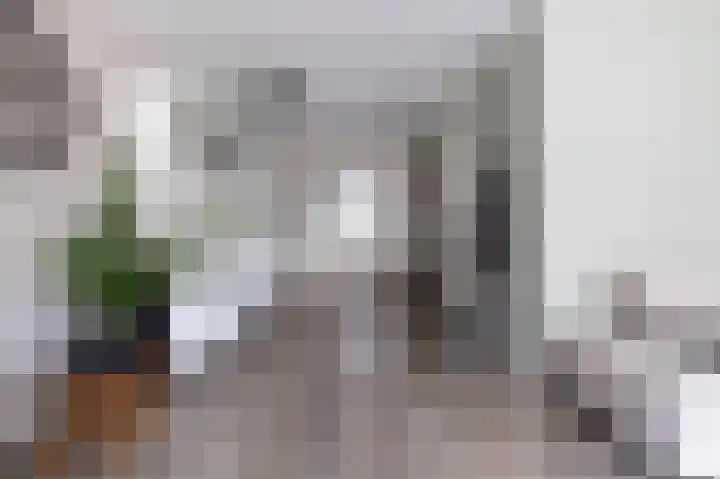Zuiderwoid 19 Lutjebroek thumbnail 5