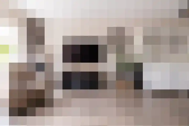 Zuiderwoid 19 Lutjebroek thumbnail 6