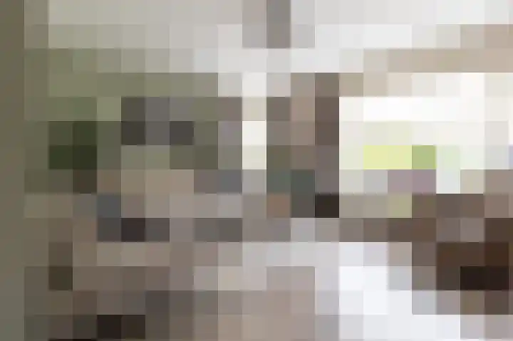 Zuiderwoid 19 Lutjebroek thumbnail 9