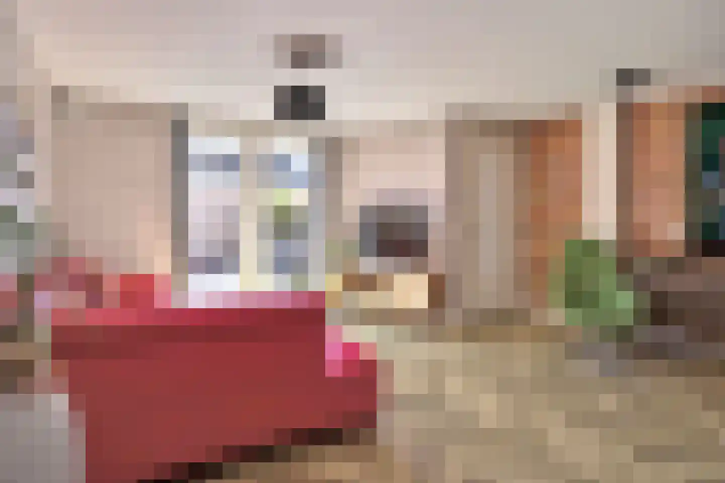 Zuiderwoid 36 Lutjebroek thumbnail 16