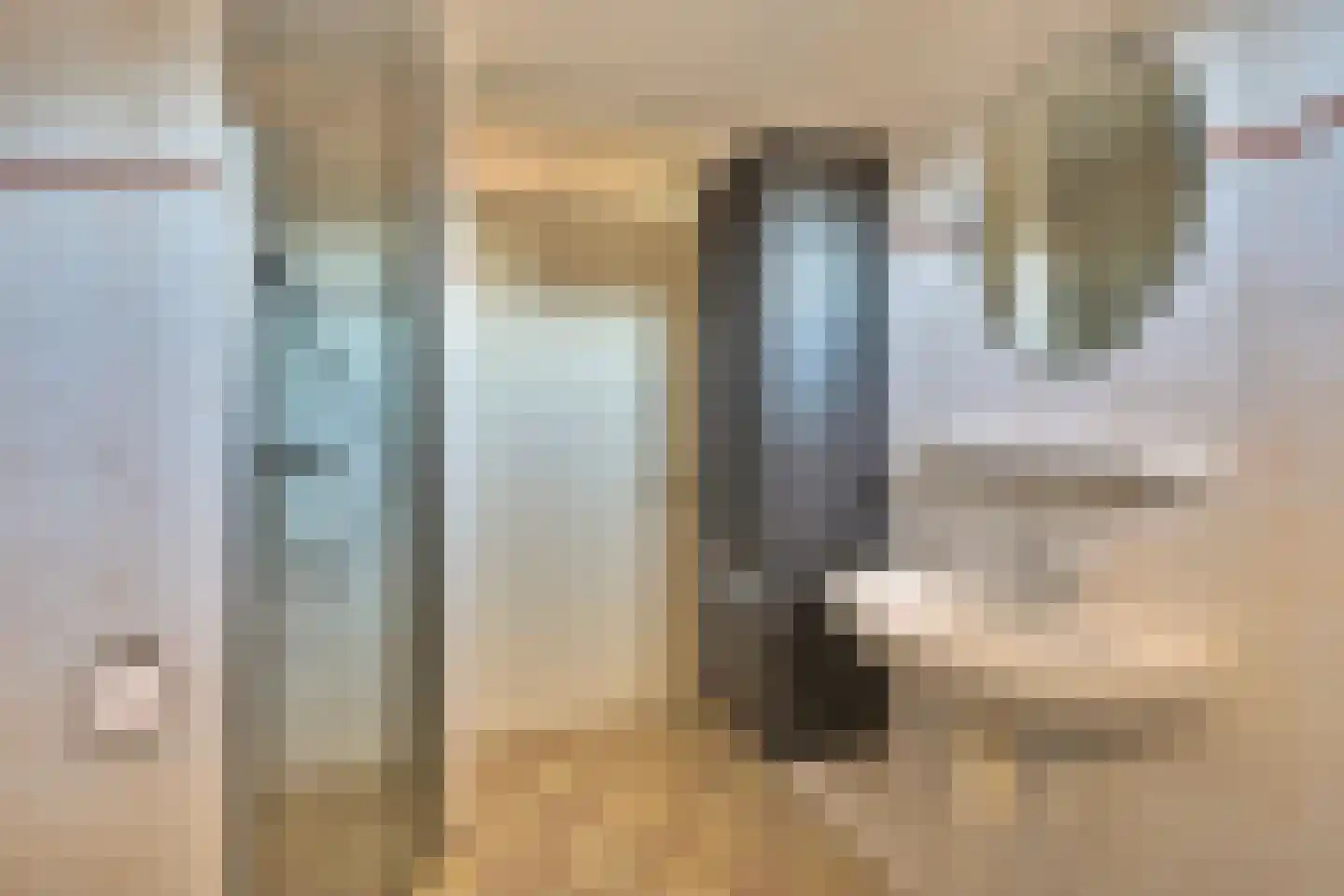 Zuiderwoid 36 Lutjebroek thumbnail 39