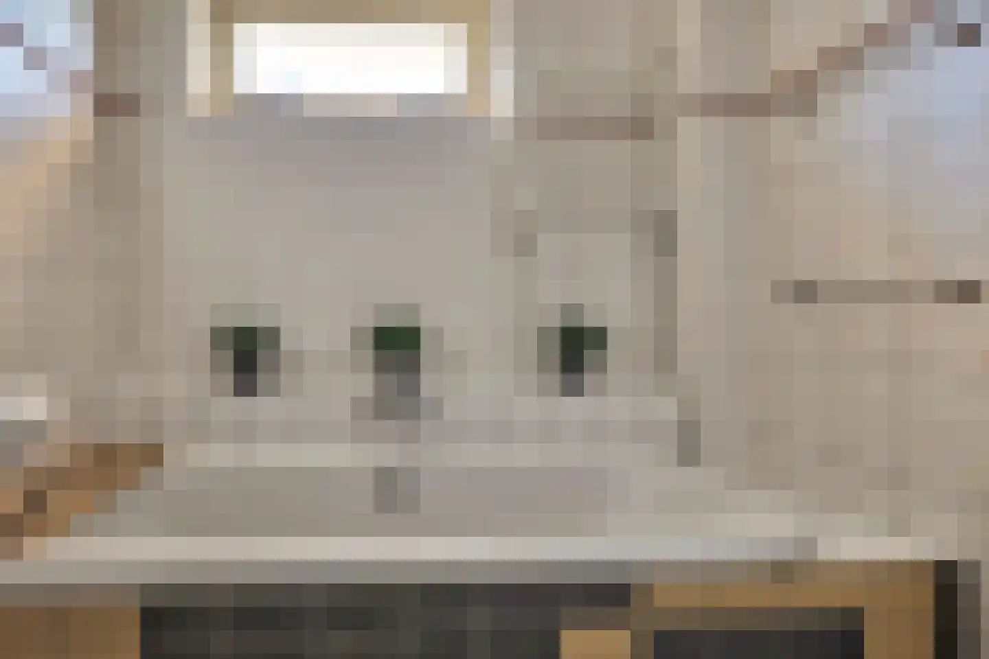 Zuiderwoid 36 Lutjebroek thumbnail 40