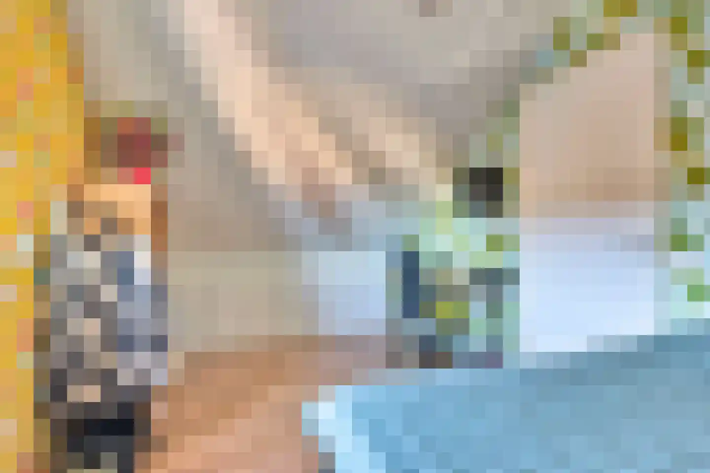 Zuiderwoid 36 Lutjebroek thumbnail 46