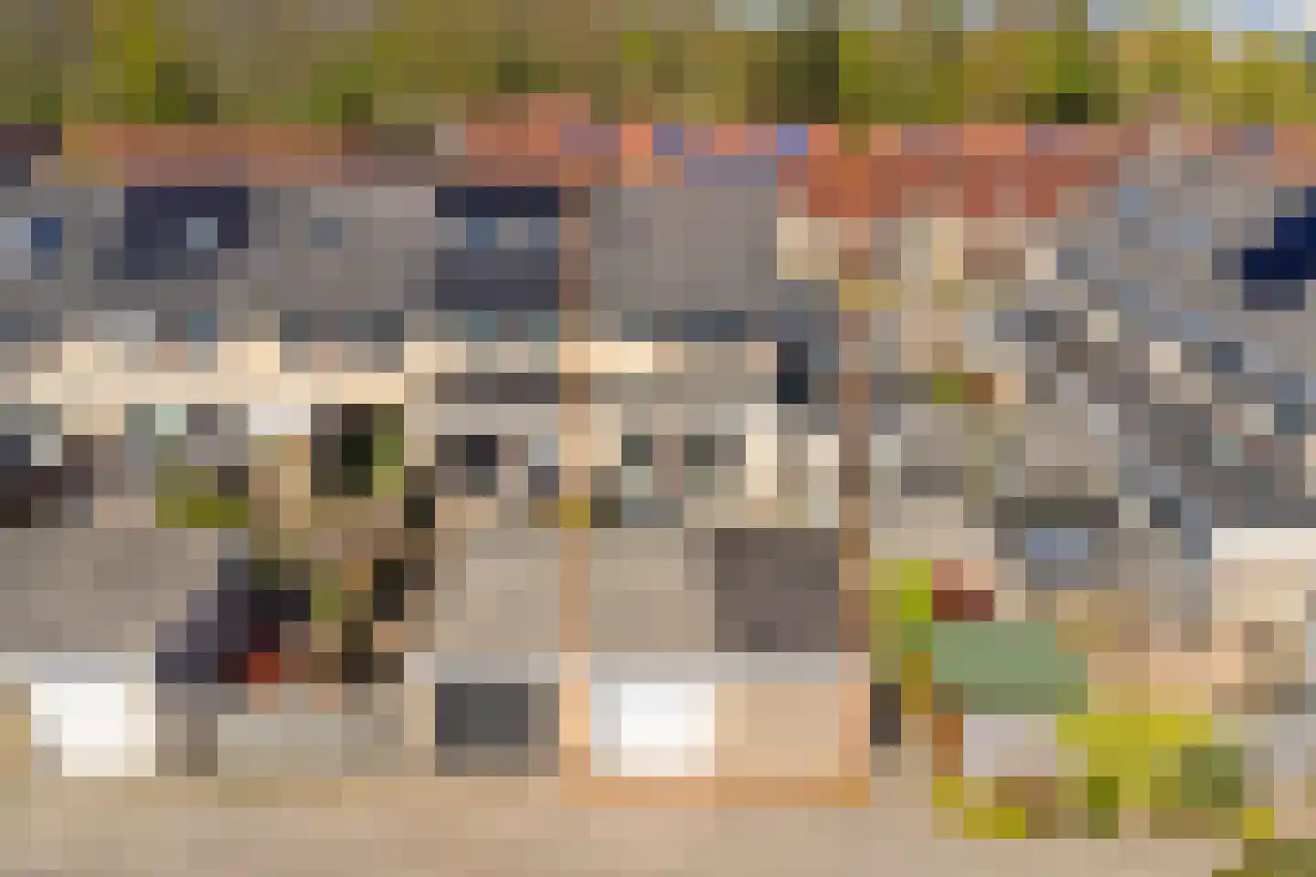 Zuiderwoid 36 Lutjebroek thumbnail 47