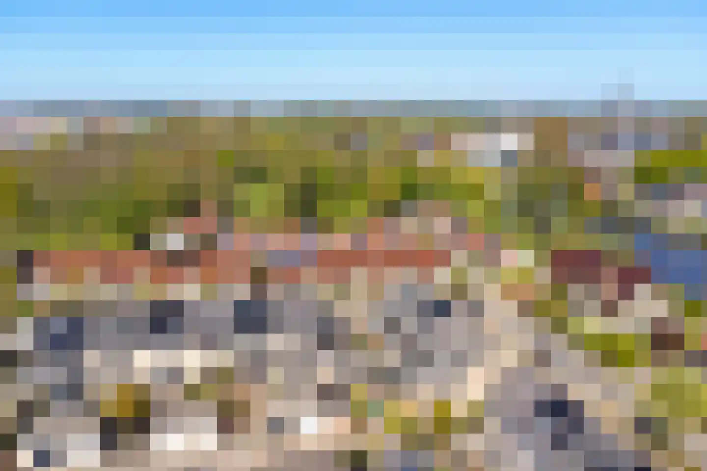 Zuiderwoid 36 Lutjebroek thumbnail 50