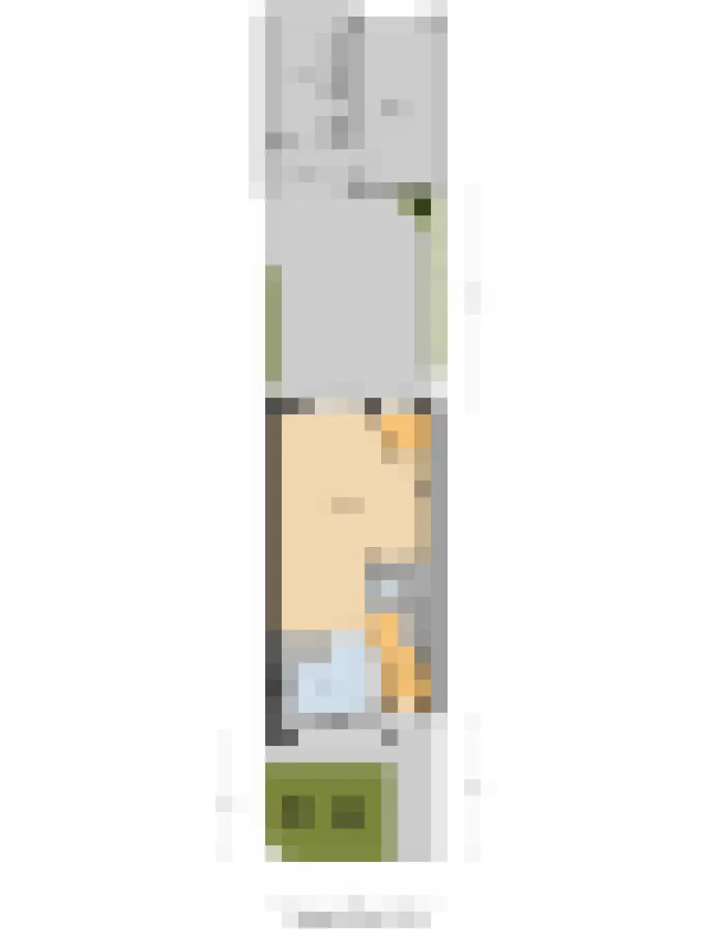Zuiderwoid 36 Lutjebroek thumbnail 59