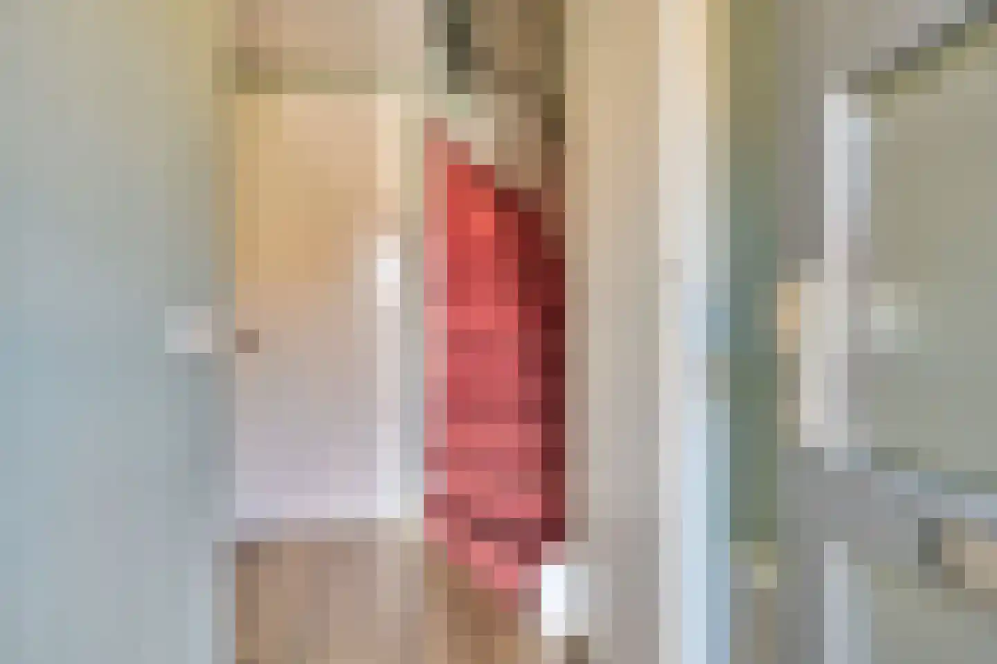 Zuiderwoid 36 Lutjebroek thumbnail 8