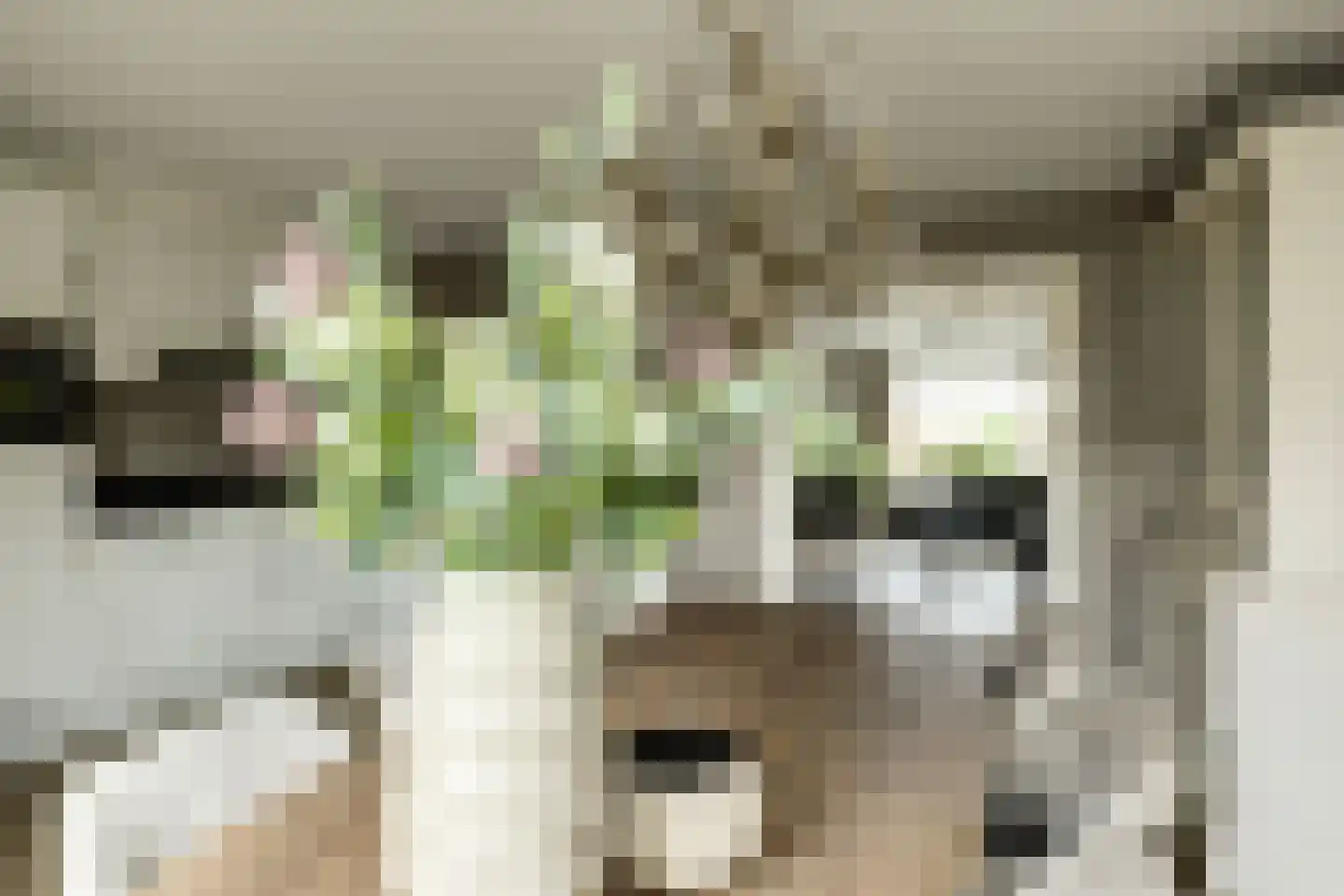 Zuiderwoid 42 Lutjebroek thumbnail 12