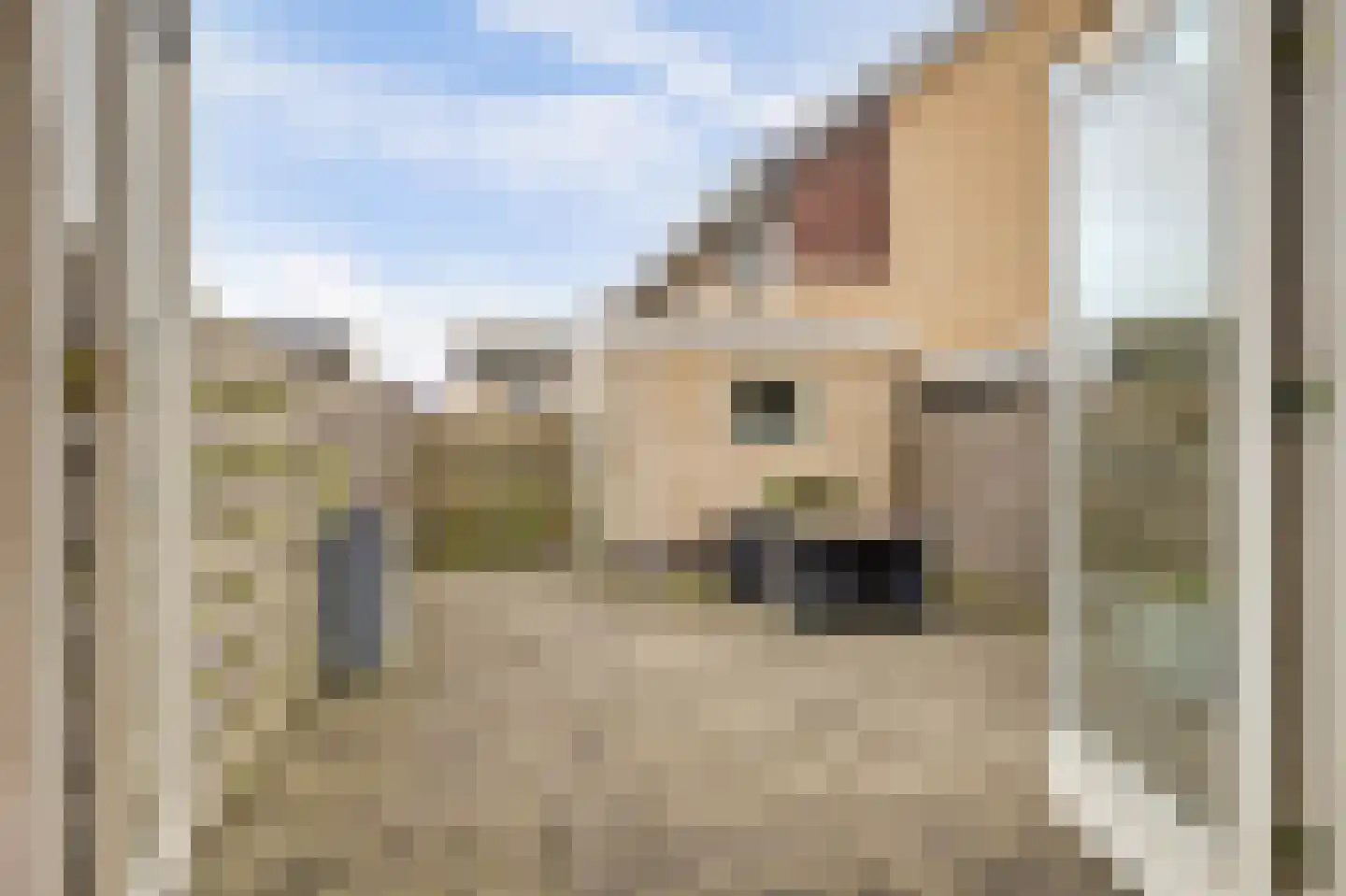 Zuiderwoid 42 Lutjebroek thumbnail 29