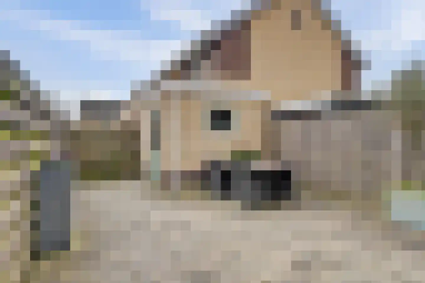 Zuiderwoid 42 Lutjebroek thumbnail 30
