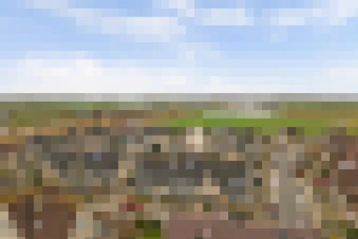 Zuiderwoid 42 Lutjebroek thumbnail 4