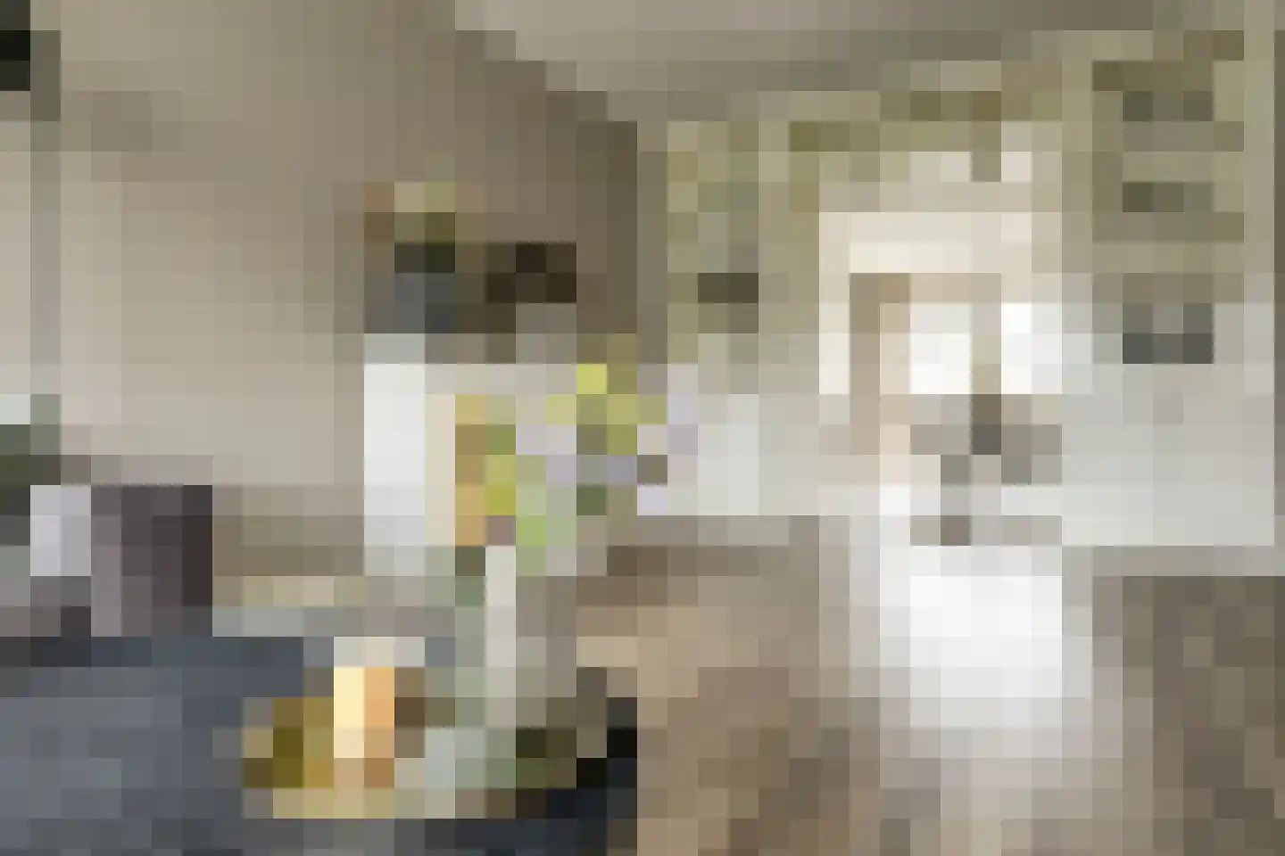 Zuiderwoid 42 Lutjebroek thumbnail 9