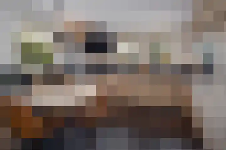 Zuiderwoid 75 Lutjebroek thumbnail 13