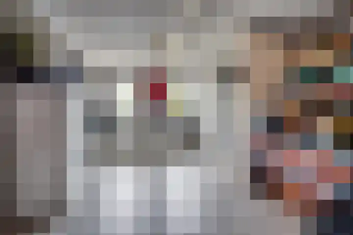 Zuiderwoid 75 Lutjebroek thumbnail 16