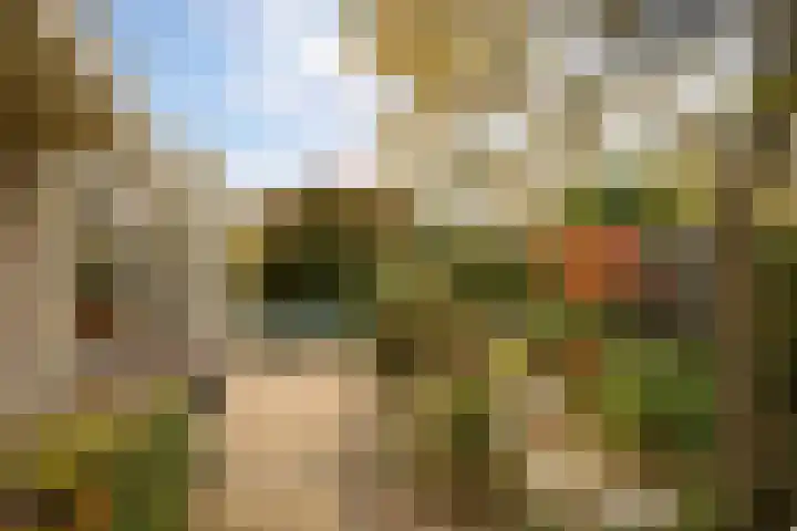 Zuiderwoid 75 Lutjebroek thumbnail 30