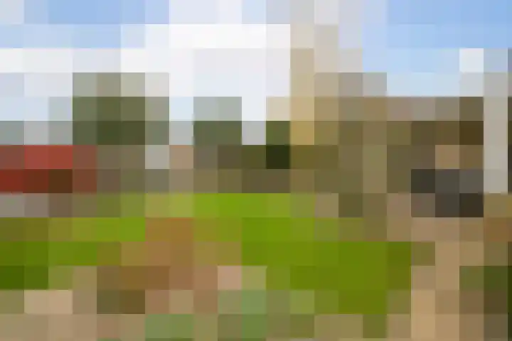 Zuiderwoid 75 Lutjebroek thumbnail 31