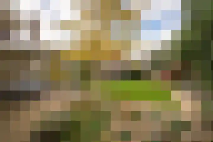 Zuiderwoid 75 Lutjebroek thumbnail 32