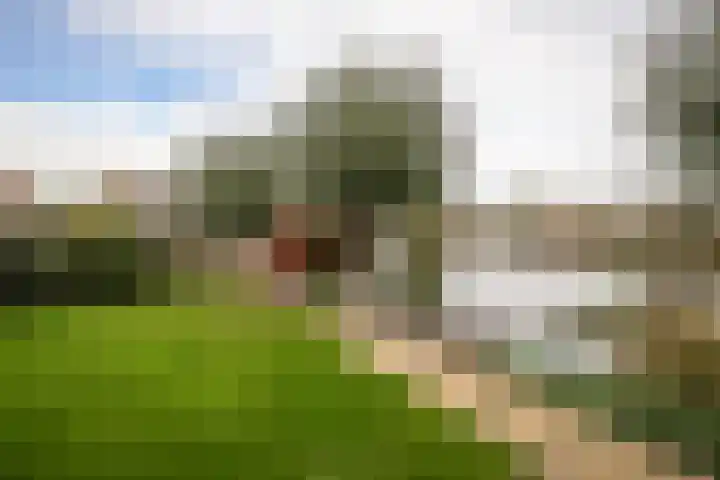 Zuiderwoid 75 Lutjebroek thumbnail 33
