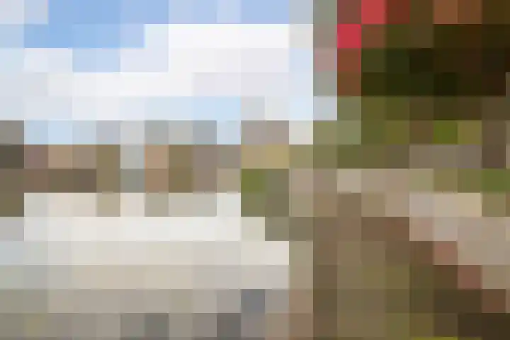 Zuiderwoid 75 Lutjebroek thumbnail 34