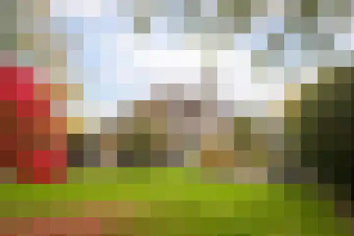 Zuiderwoid 75 Lutjebroek thumbnail 36
