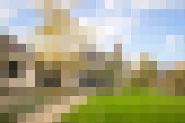 Zuiderwoid 75 Lutjebroek thumbnail 37