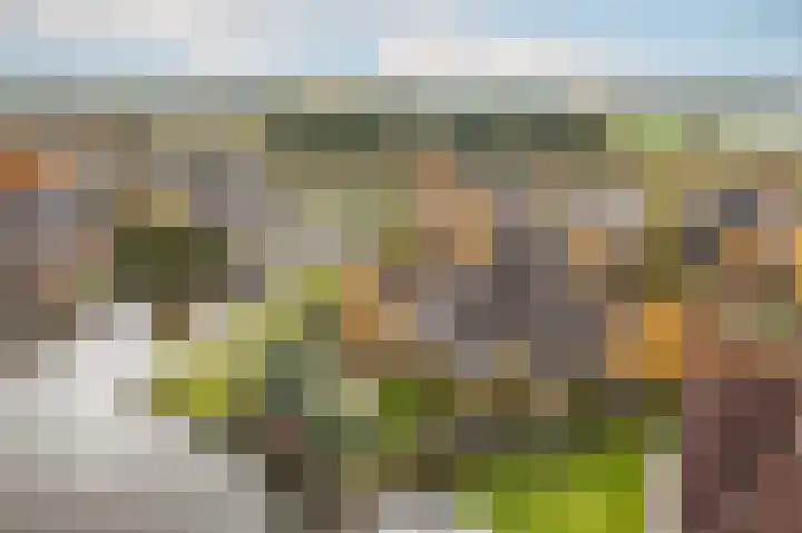 Zuiderwoid 75 Lutjebroek thumbnail 39