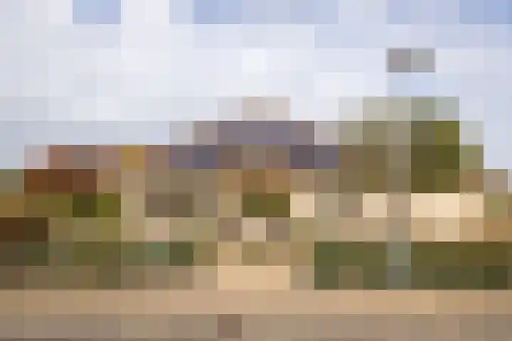 Zuiderwoid 75 Lutjebroek thumbnail 44